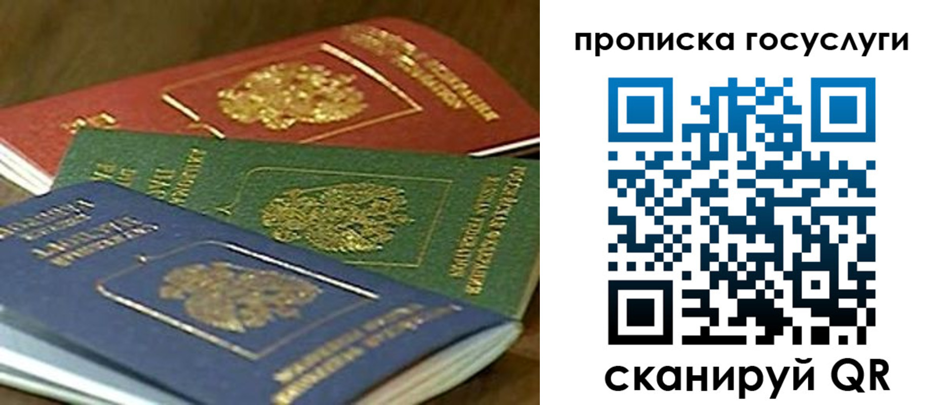 прописка гарантия в Гатчине